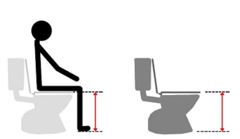 Correct toilet height