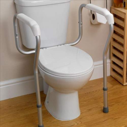 A metal frame with arms which is attached to the toilet bowl.