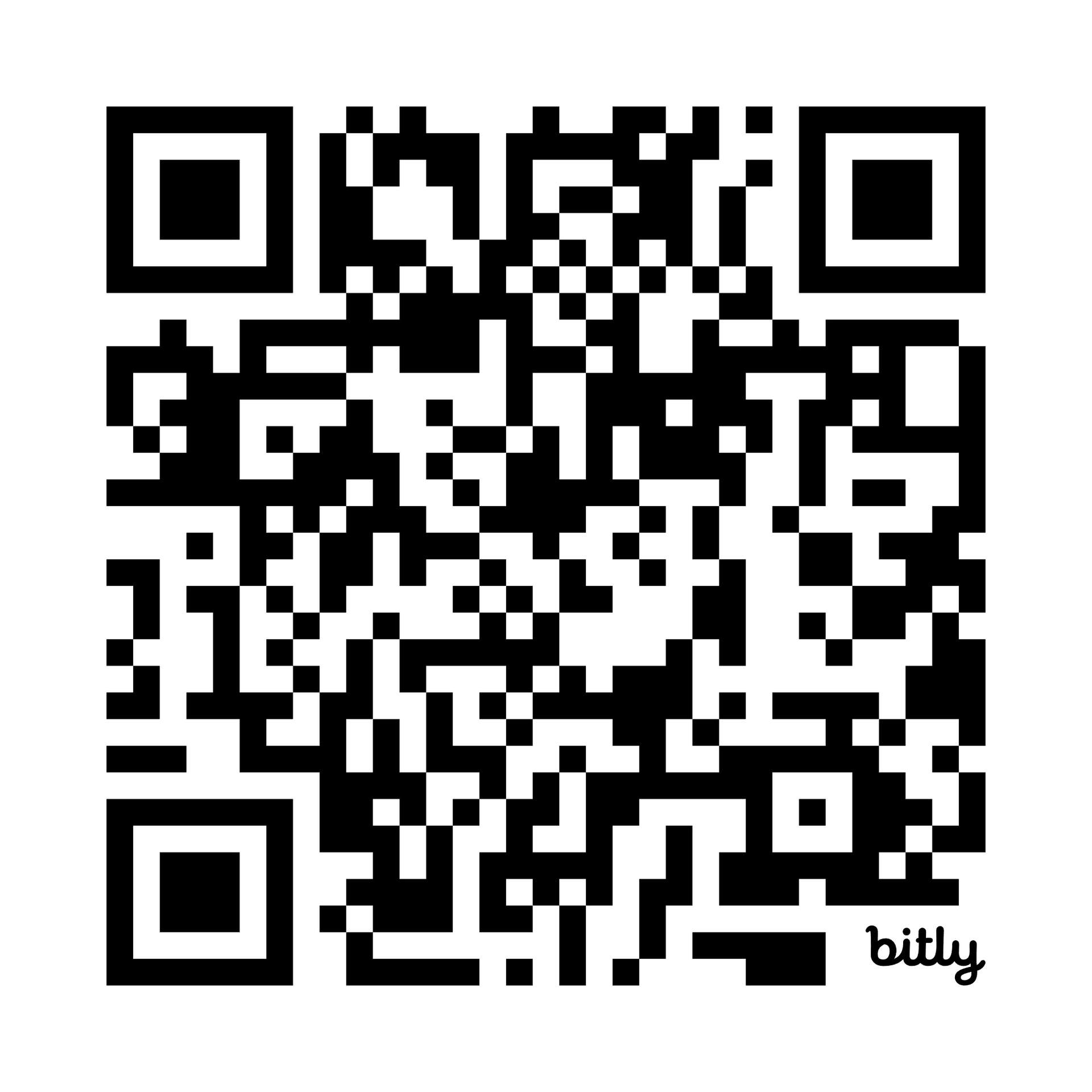 Portable Wheelchair Lift Hire 4