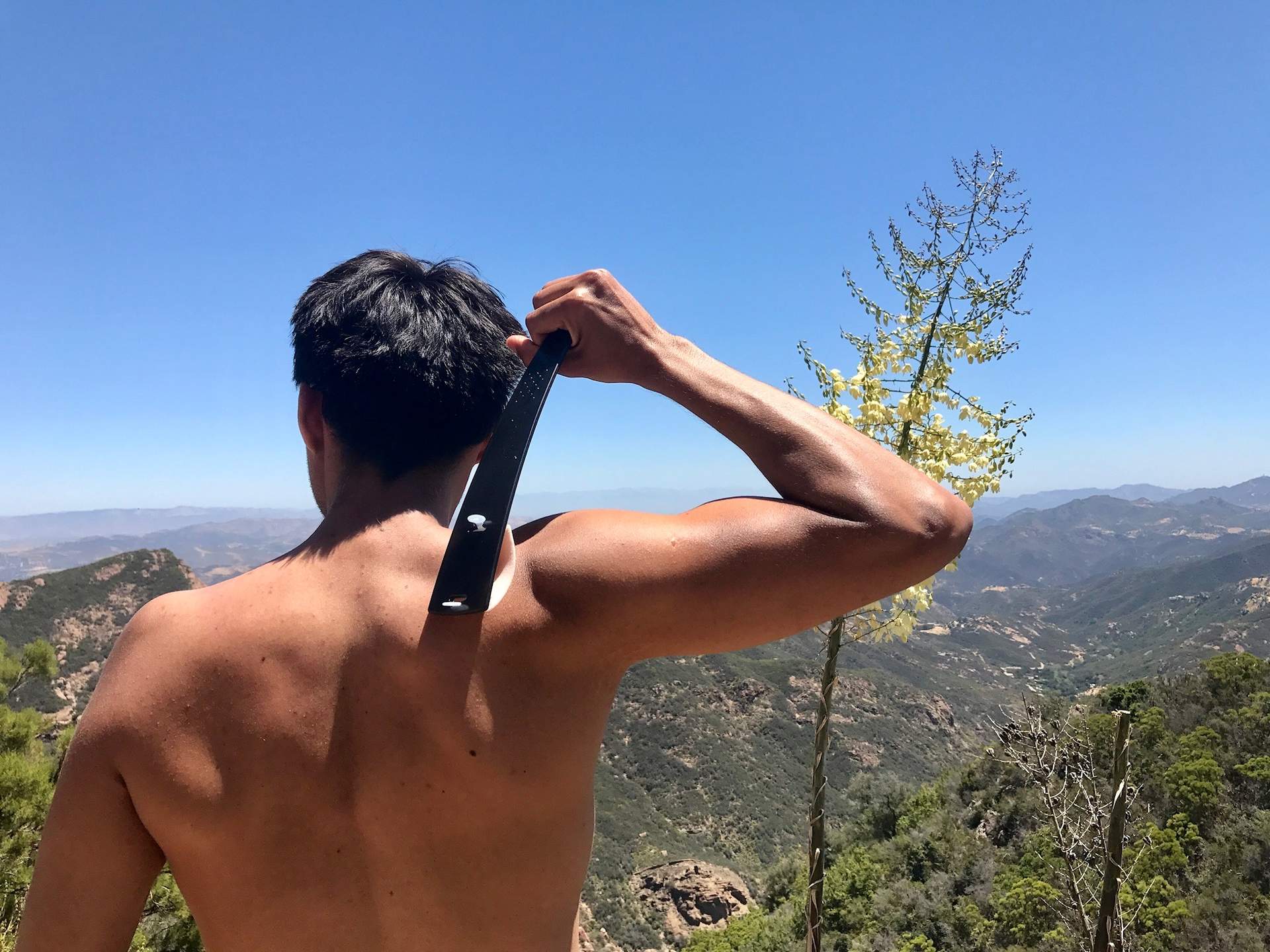 Backbliss Lotion & Cream Applicator 5