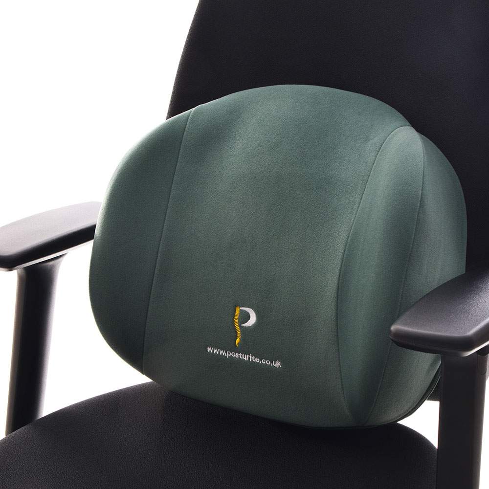 Posturite Back Support 2