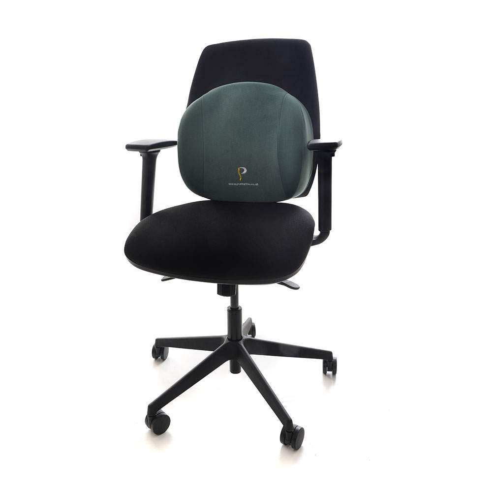 Posturite Back Support 1