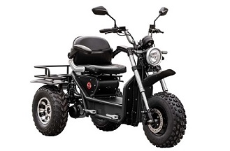 Invader Off Road Mobility Scooter