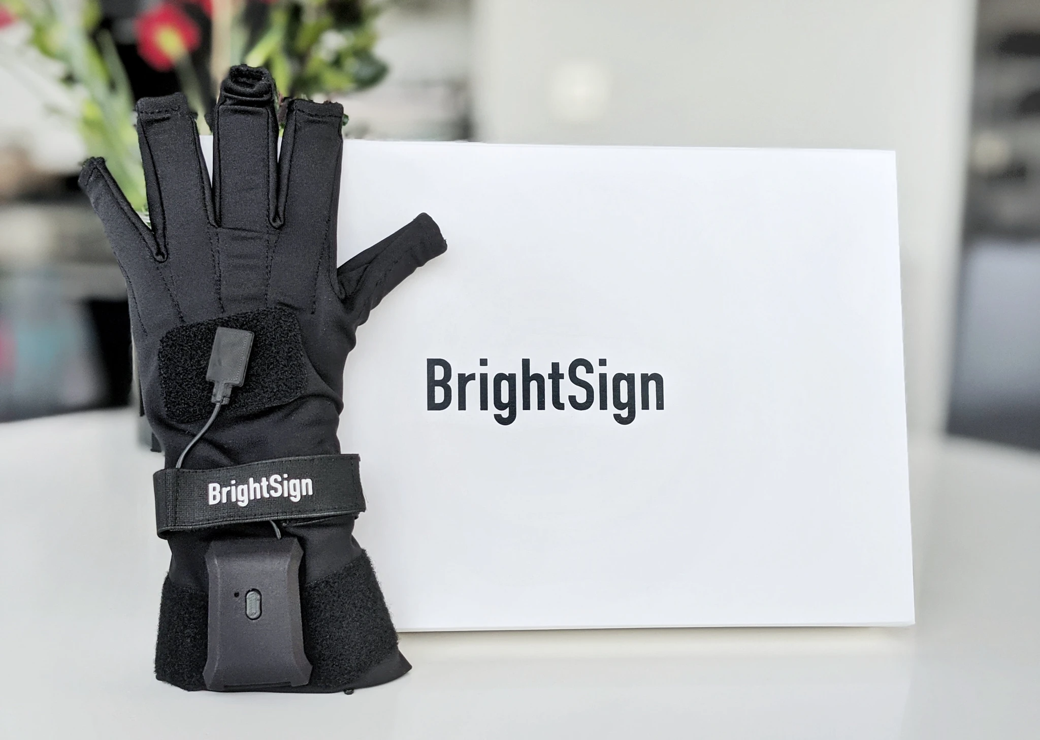 BrightSign Translation Glove